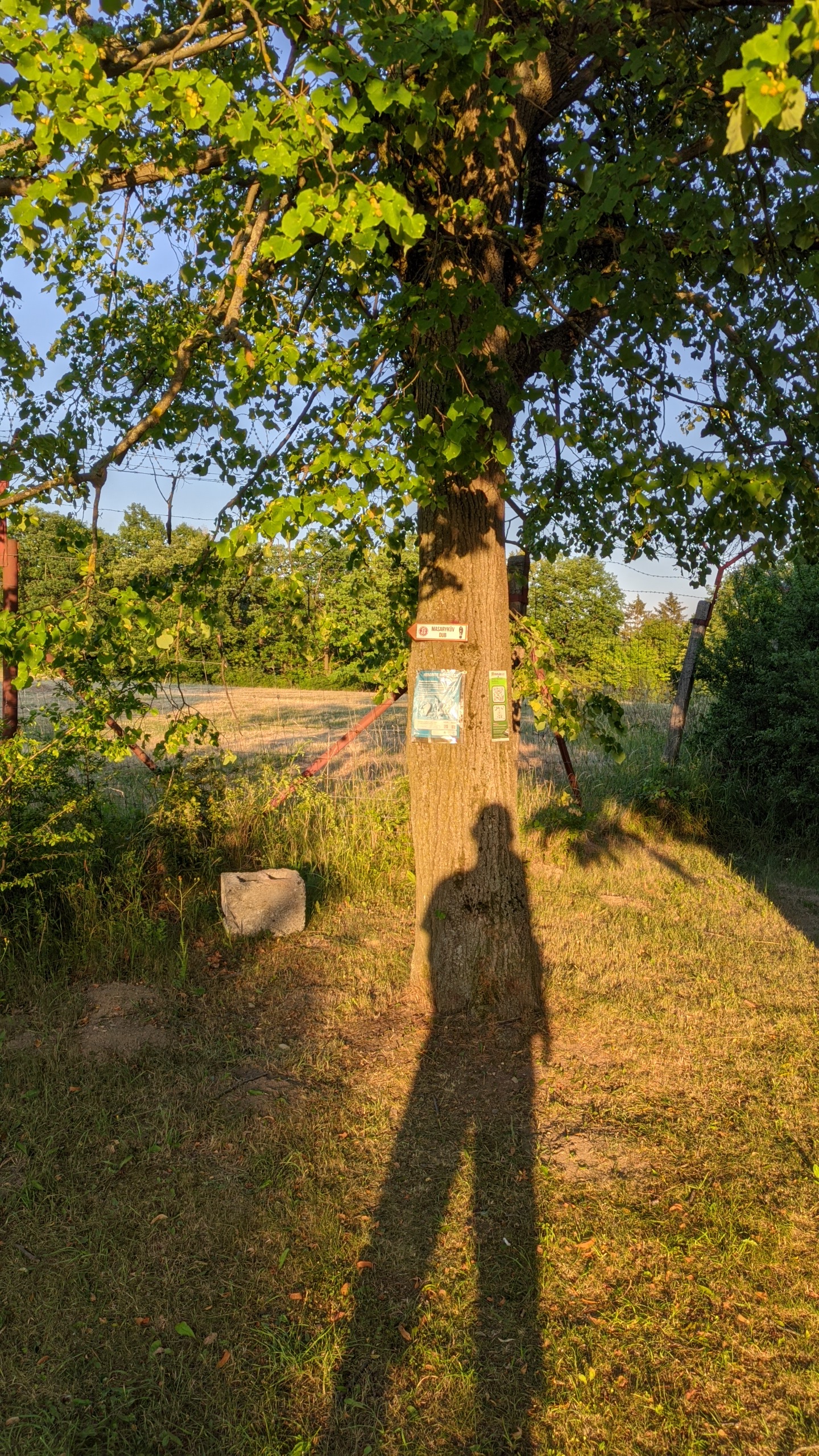 PXL_20220602_175850786
