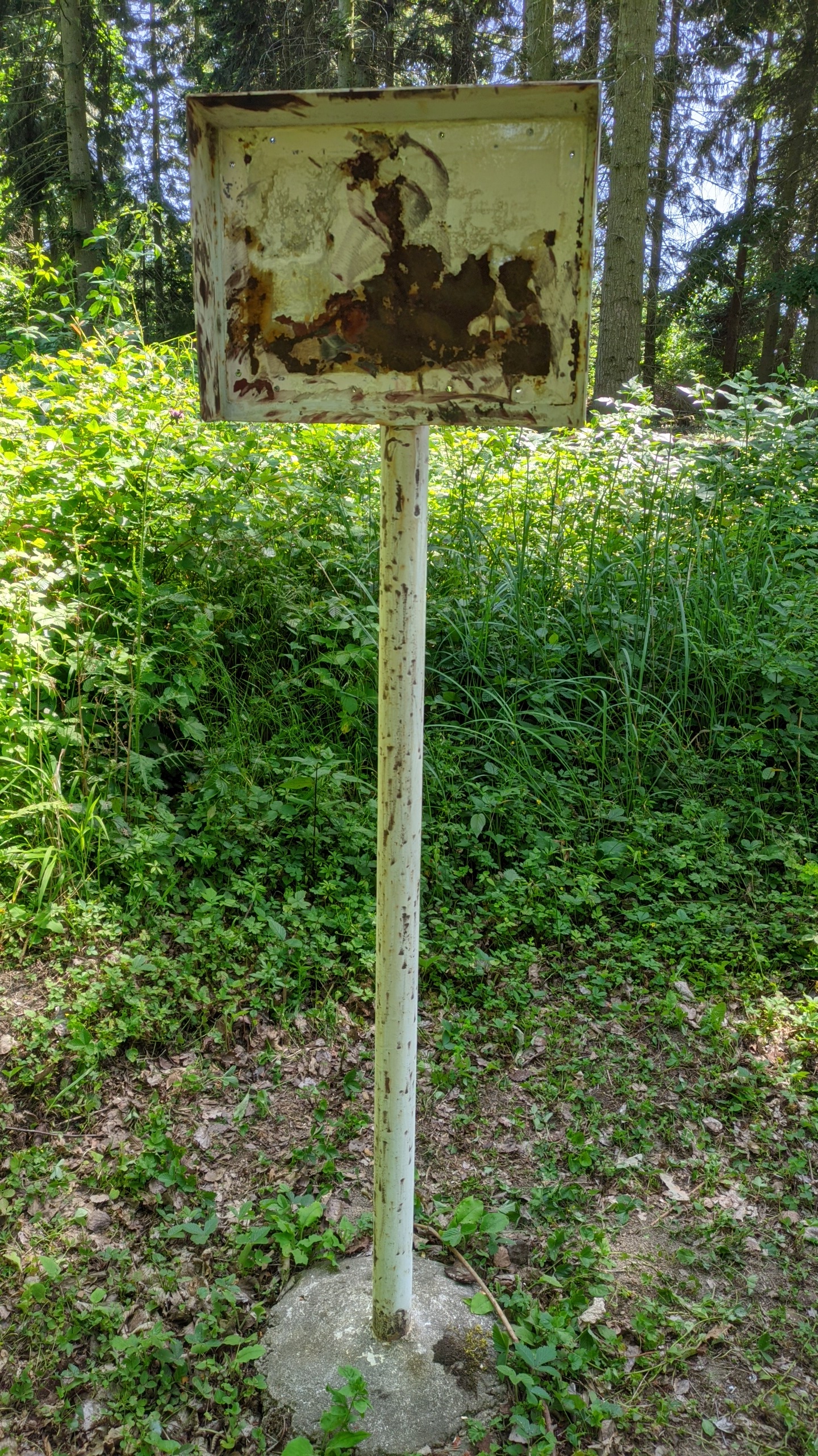 PXL_20220619_122748464