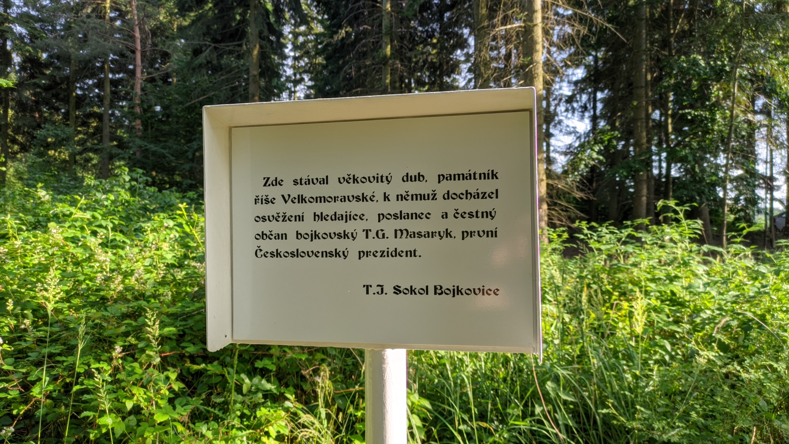 PXL_20220628_155422045