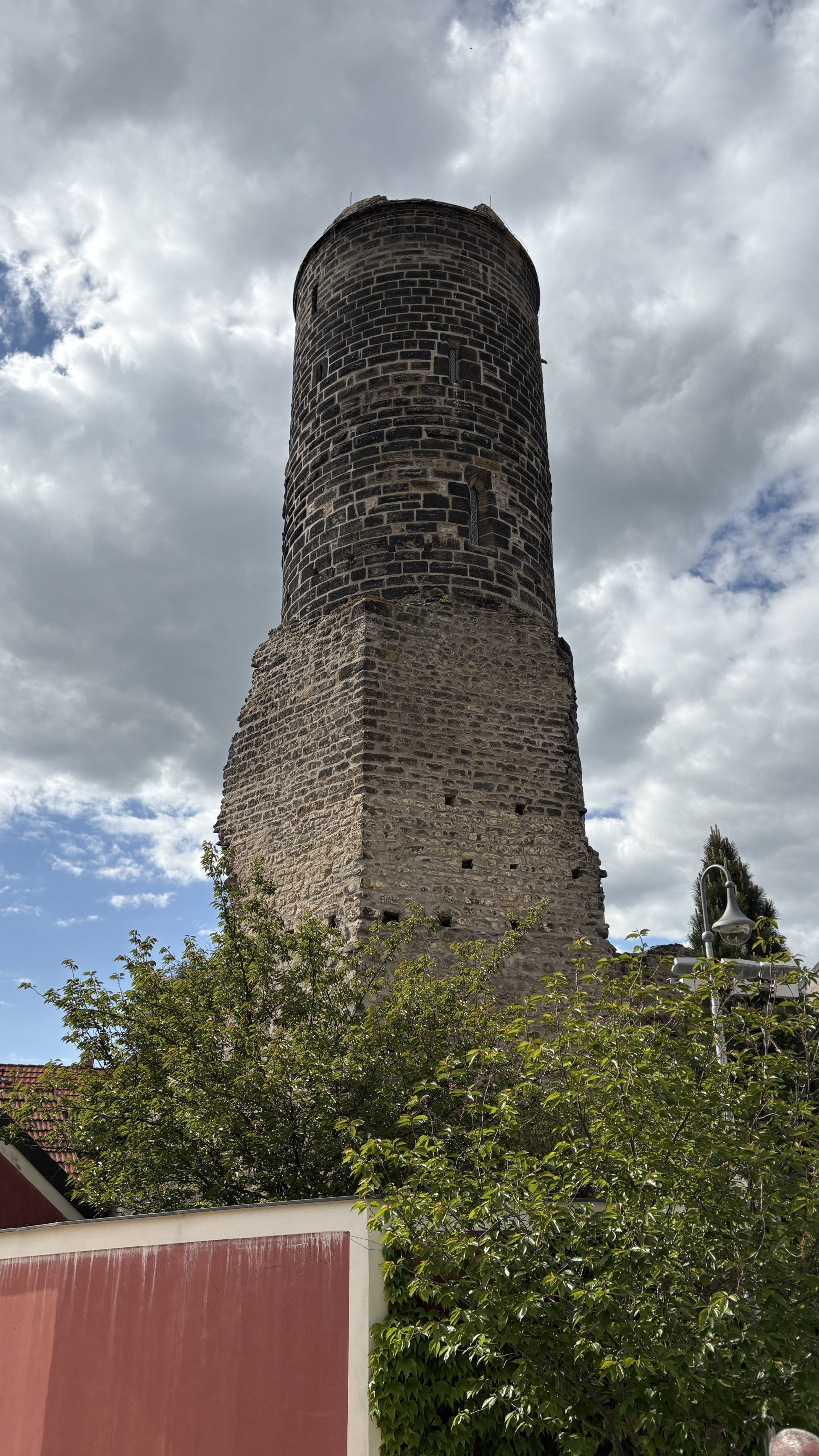IMG_1489