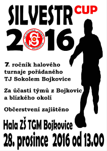 silvestr_cup-2016.png